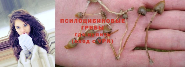 индика Балахна