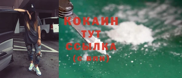 индика Балахна