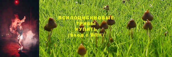 индика Балахна