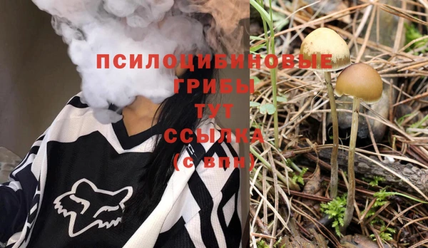 mdpv Баксан