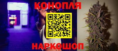 индика Брянск