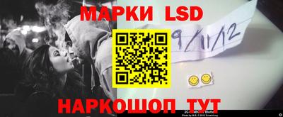 индика Брянск