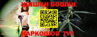 индика Брянск