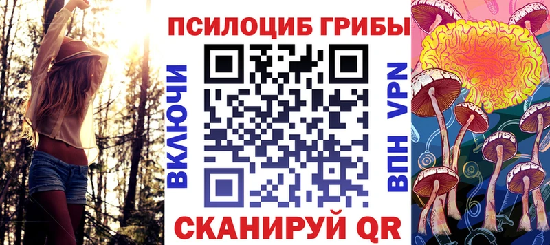Галлюциногенные грибы прущие грибы  Купить закладки  Боровичи 