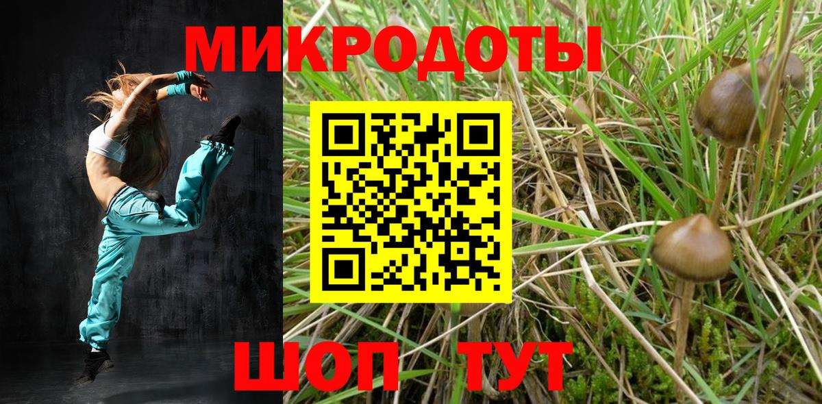 Галлюциногенные грибы Psilocybe  Вход с VPN  Псилоцибиновые грибы мухоморы  Боровичи 