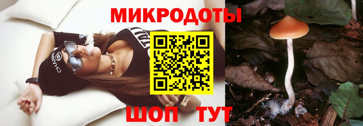 Псилоцибиновые грибы прущие грибы Боровичи